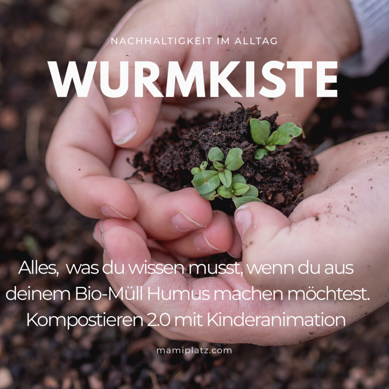 Wurmkiste_Beitrag
